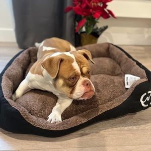 Meet your Posher, Erwin